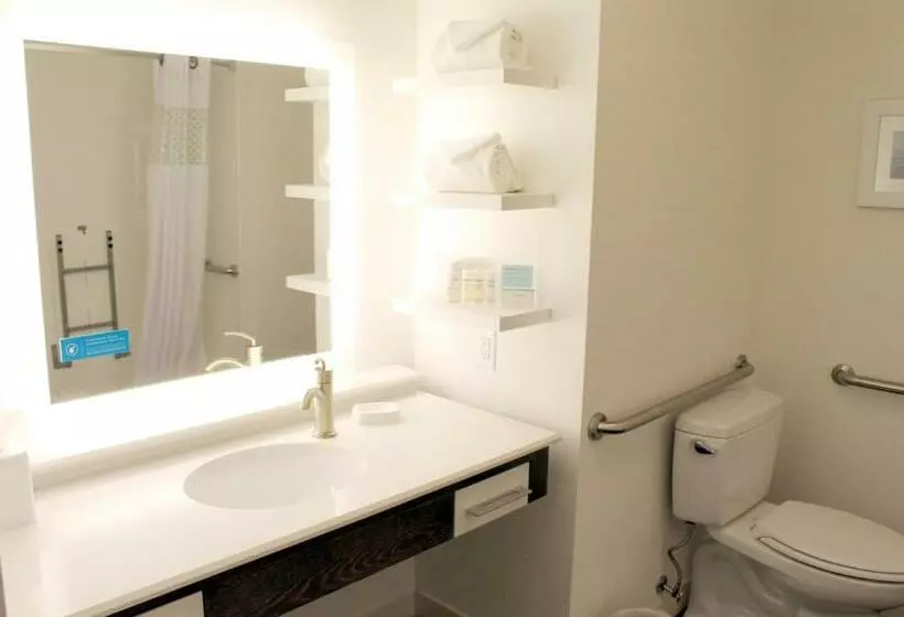 身障者適用キングサイズベッドルーム, Hampton Inn Cape Girardeau I55 East
