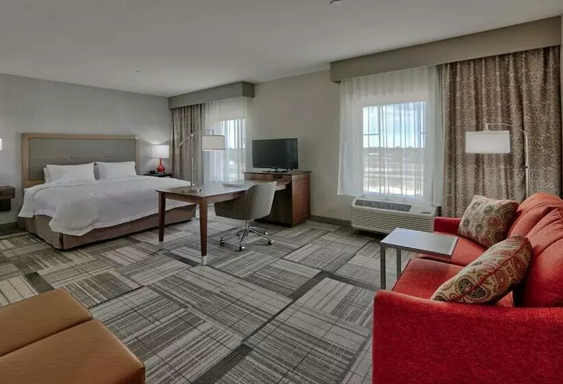 身障者適用キングサイズベッドルーム, Hampton Inn & Suites Artesia