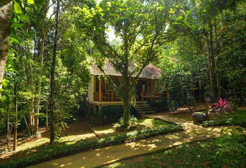 بانگلوی لوکس, Valley Village Phu Quoc