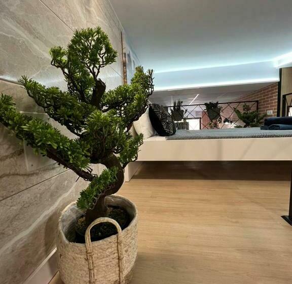 اتاق لوکس خانوادگی, Carcaixent 24