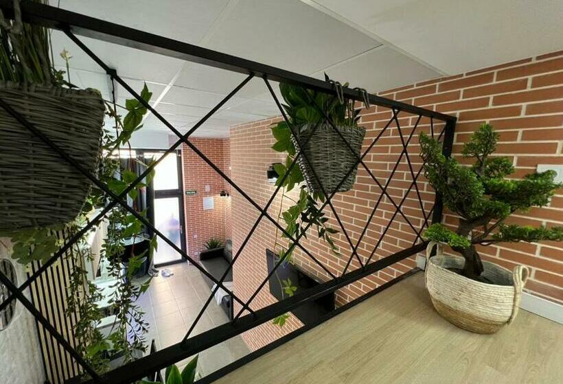 اتاق لوکس خانوادگی, Carcaixent 24