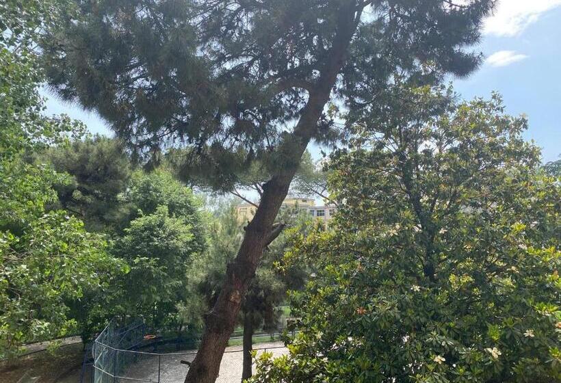 اتاق استاندارد سه نفره, Oasi Verde