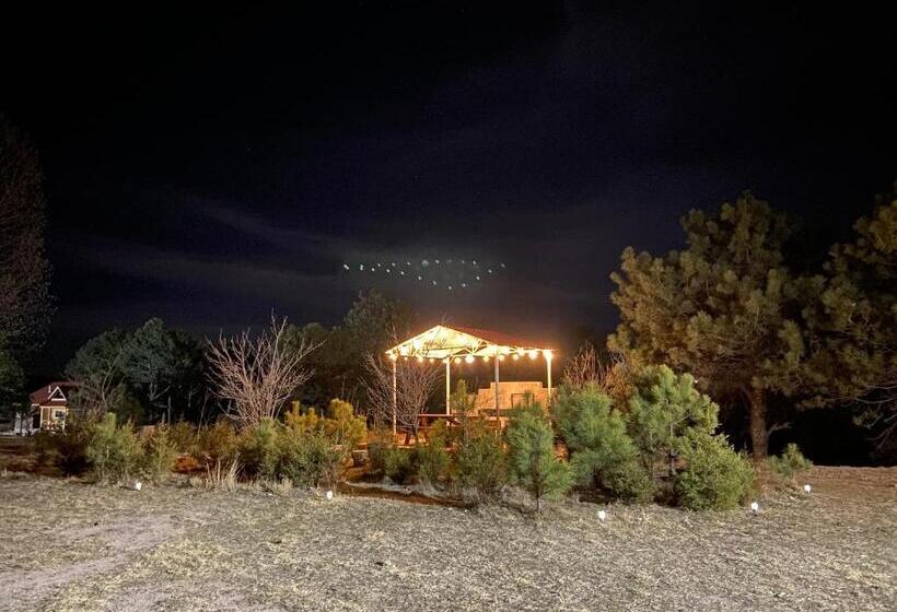 غرفة قياسية رباعية, Cabañas Rochivo Ranch