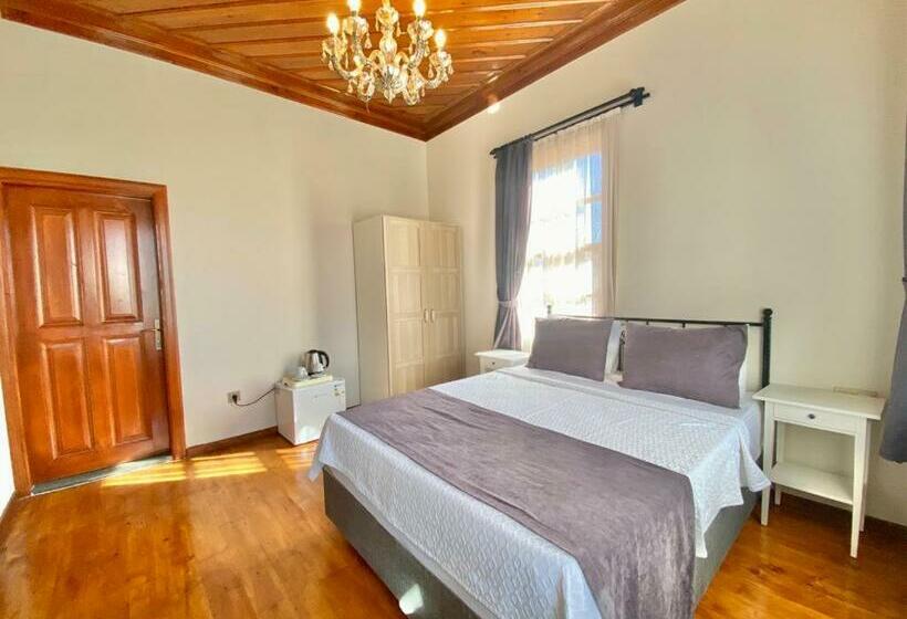 스탠다드 룸 풀장 전망, Necip Bey Konağı