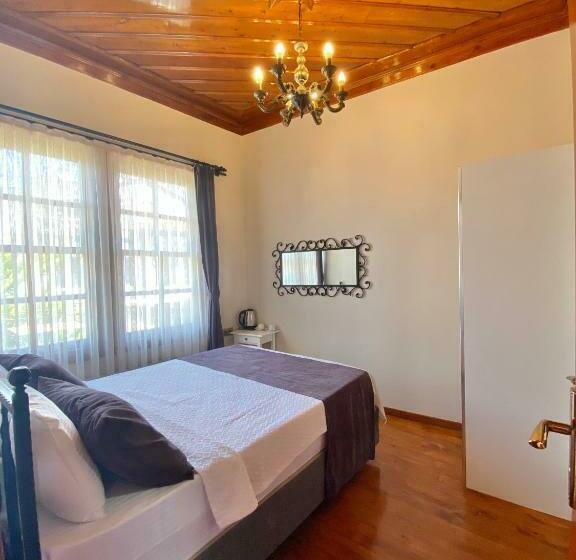 이코노미 룸, Necip Bey Konağı