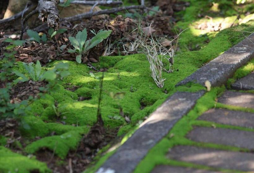 스탠다드 룸, Mind Body Soul Guesthouse On Featherbrooke Estate, Krugersdorp, South Africa