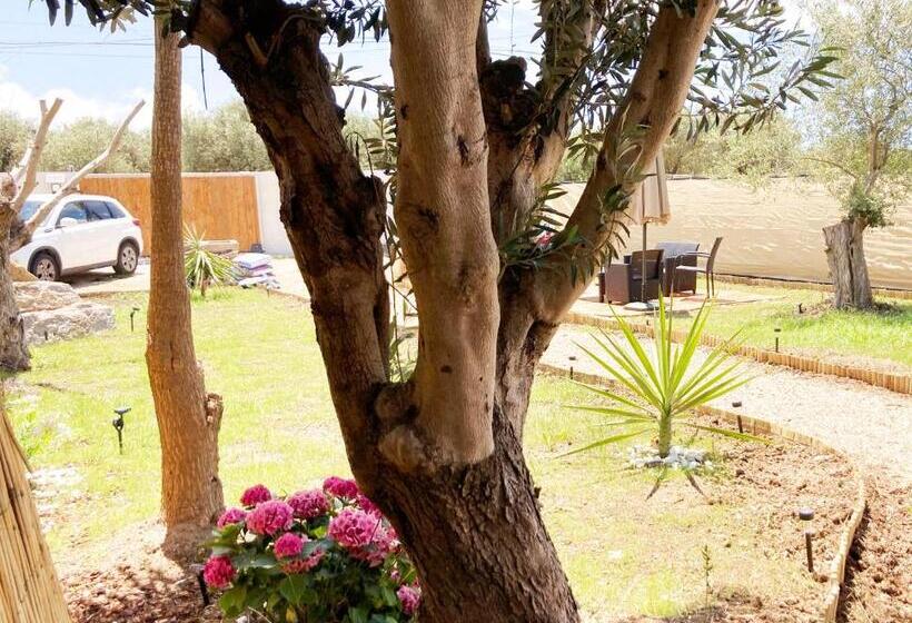 Номер Стандарт, Algherolux Free Secured Parking For Cars And Motorbikes