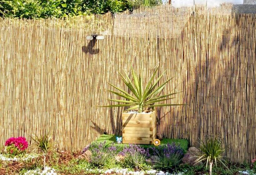 Номер Стандарт, Algherolux Free Secured Parking For Cars And Motorbikes