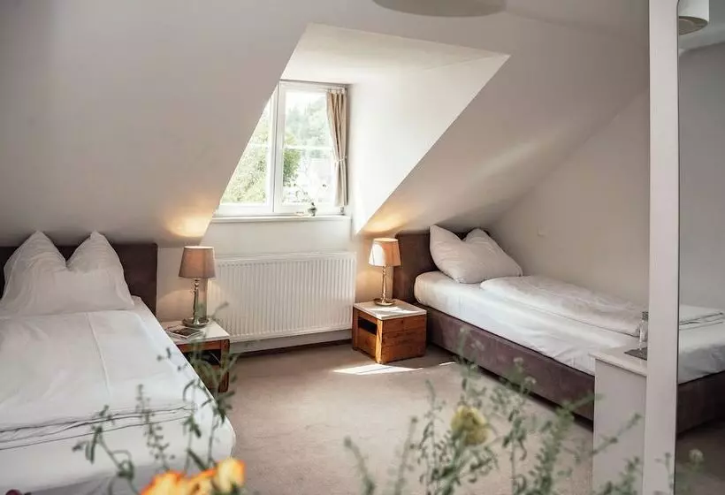 Standard-huone, Allgäuer Genusshotel Und Historischer Dorfgasthof Hirsch