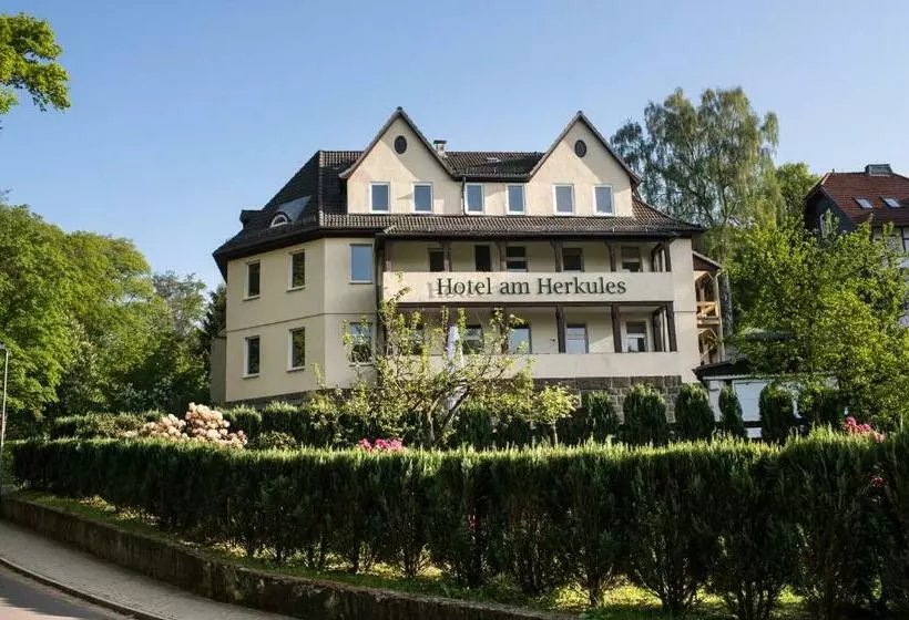 اتاق استاندارد یک نفره, Am Herkules