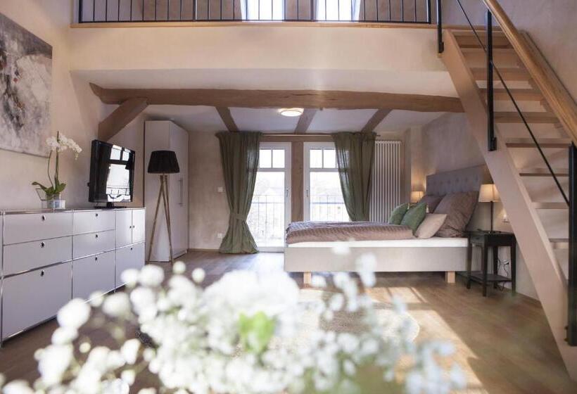 Студия Стандарт, Bellini