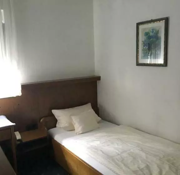 اتاق استاندارد یک نفره, Gasthof Zur Sonne Winzenhohl