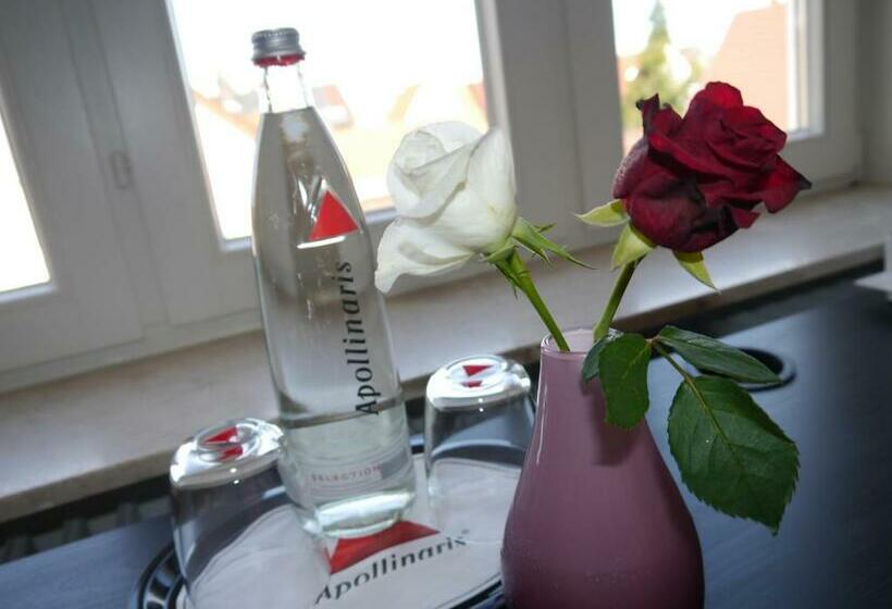 Номер Стандарт, Mille Stelle