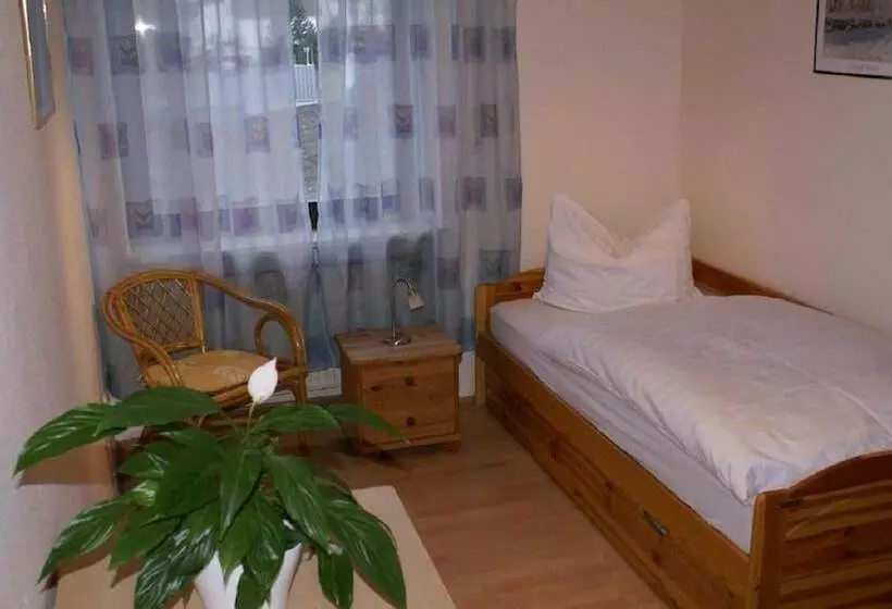 Standard Yhden Hengen Huone, Pension Lindenhof