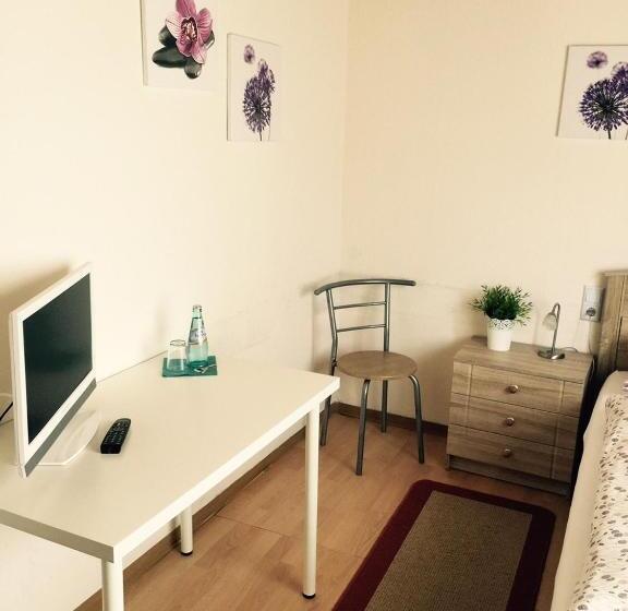 חדר סטנדרט יחיד, Pension Lindenhof