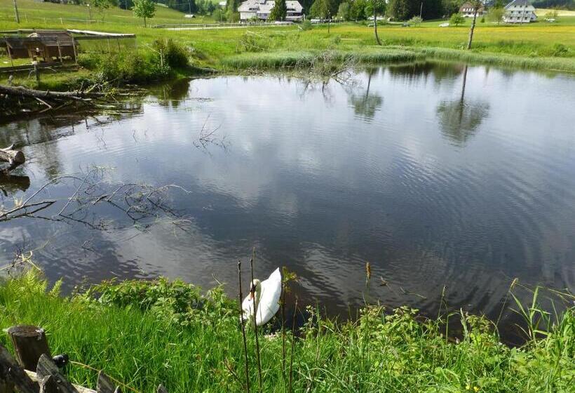 Quarto Quadruple Standart com Varanda, Pension Muhlencafe