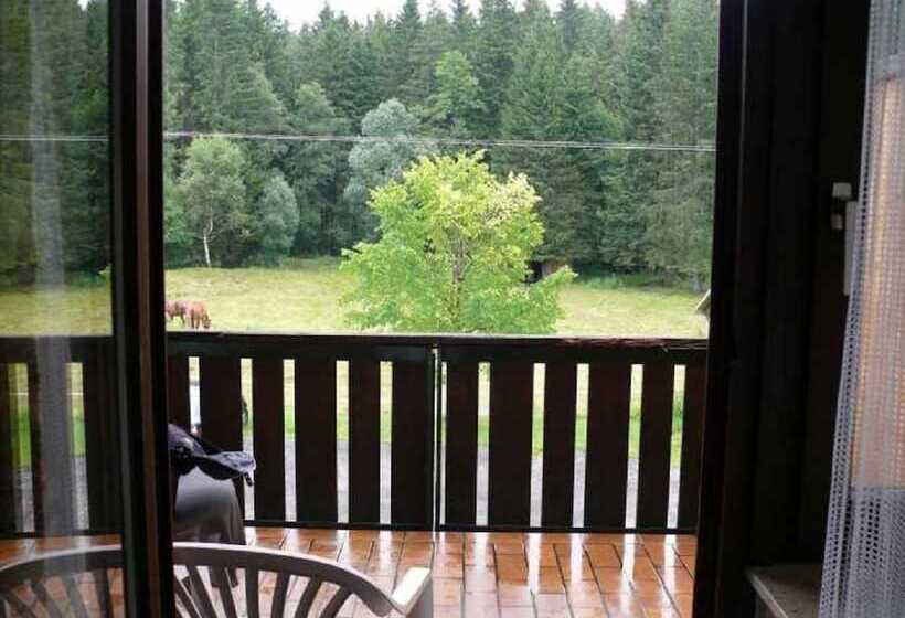 Quarto Estandar Individual, Pension Muhlencafe