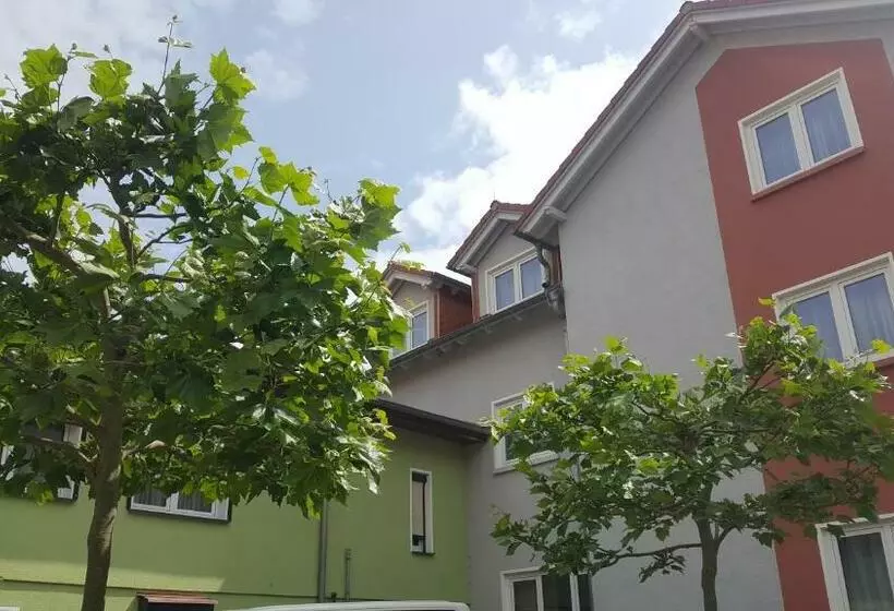 身障者適用スタンダードルーム, Pension Zechliner Hof