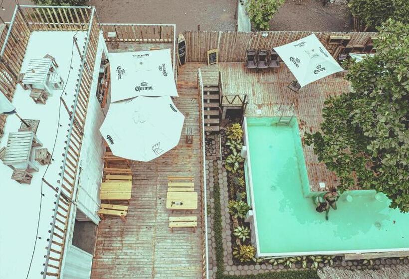 اتاق لوکس با چشمانداز دریا, Marine Surf