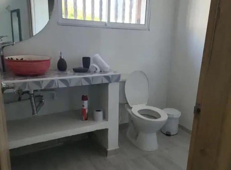 标准间, M4 En El Centro Histórico