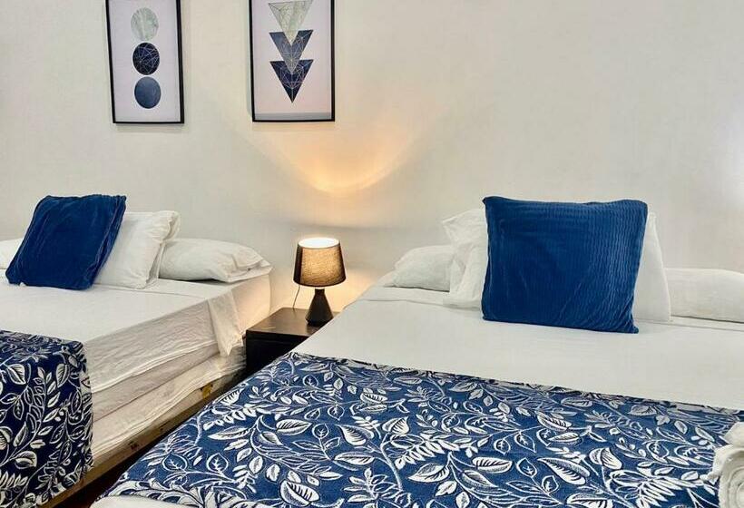 四人标准间, M4 En El Centro Histórico