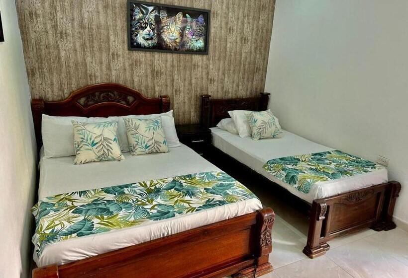 标准三人间, M4 En El Centro Histórico