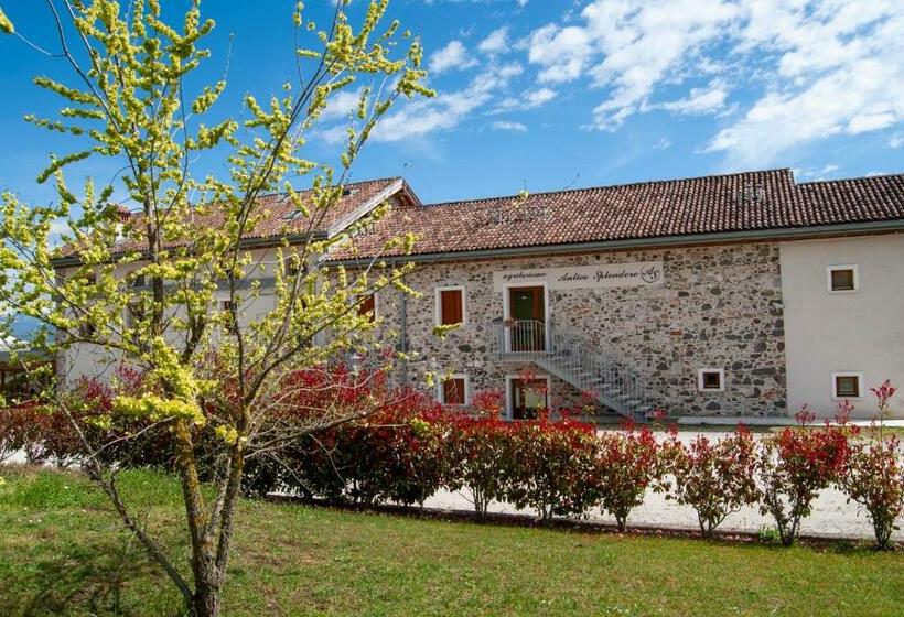 스탠다드 룸, Agriturismo Antico Splendore