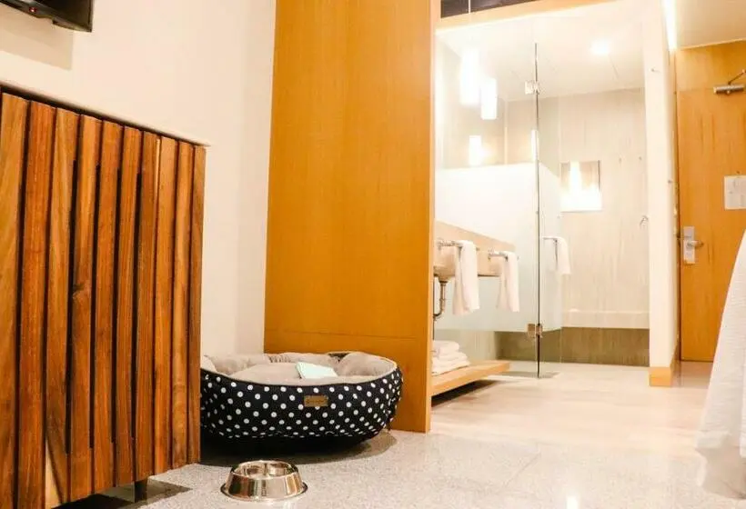 Deluxe-huone, Mio Riviera Nayarit Unique & Different Adults Only