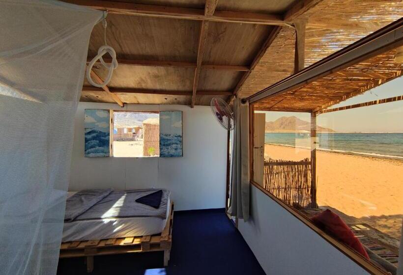 اتاق استاندارد, New Droub Camp