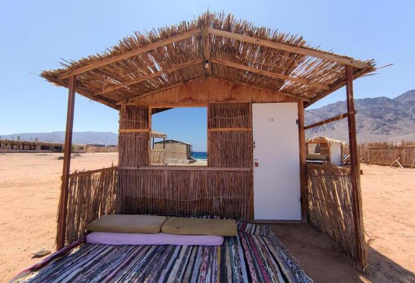 اتاق لوکس, New Droub Camp