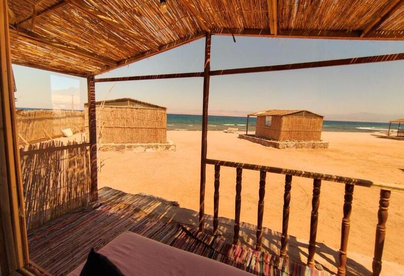 اتاق راحتی سه تخته, New Droub Camp