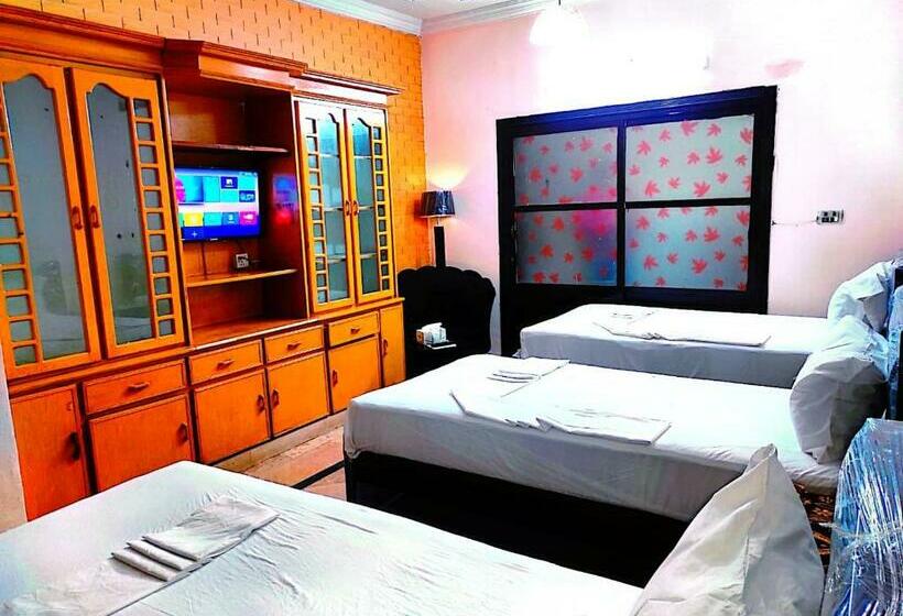 اتاق لوکس سه تخته, Frank In Guest House