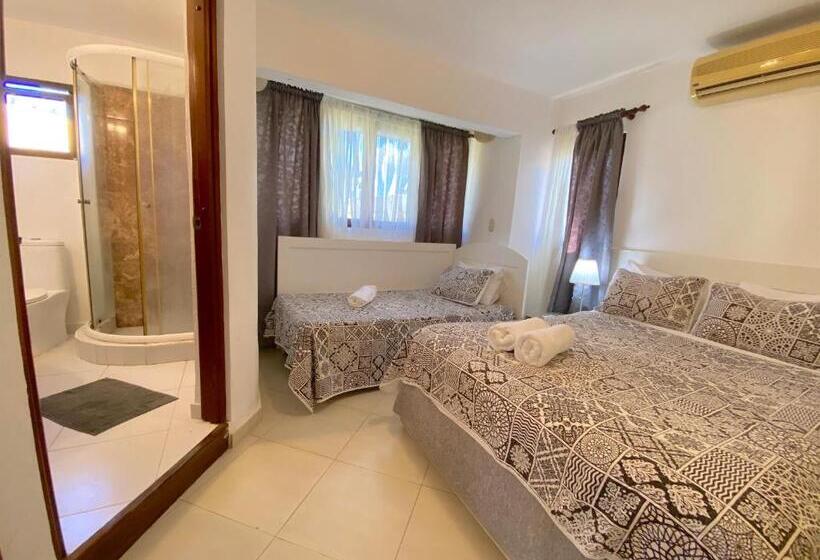 带1个卧室的高档别墅, Los Corales Villas And Suites Beach Club, Spa, Restaurants