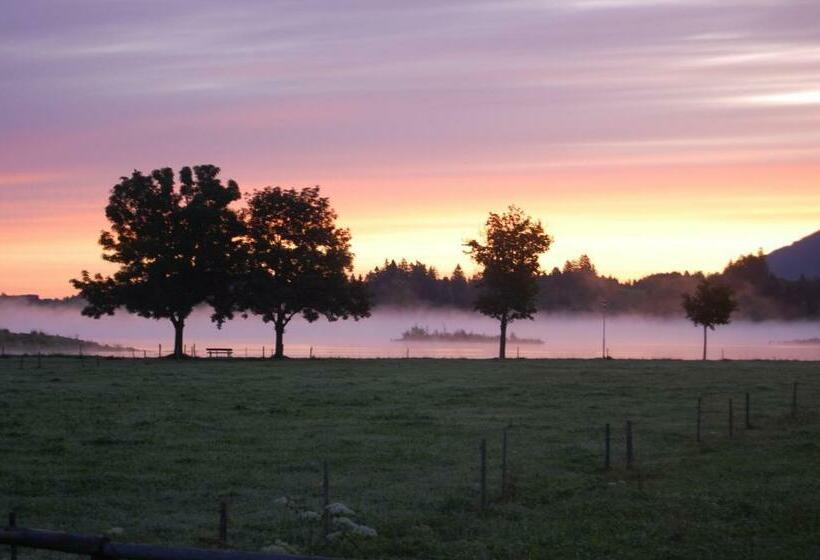 Номер Стандарт с Балконом, Gästehaus Stefanie