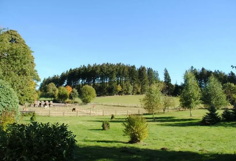 バルコニー付きスタンダードルーム, Landgasthof Gruss