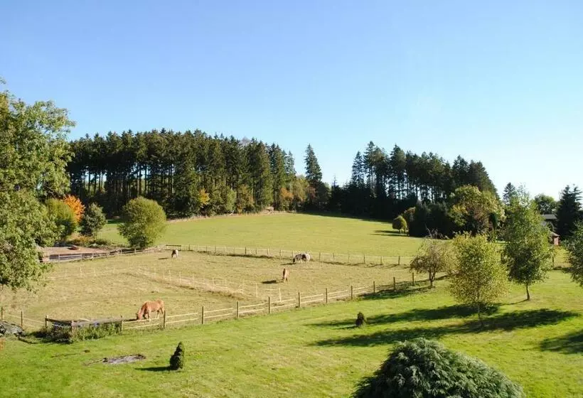 バルコニー付きスタンダードルーム, Landgasthof Gruss