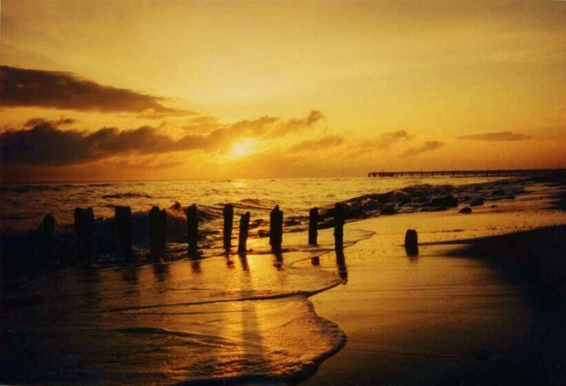 テラス付き１ベッドルームアパートメント, Ostsee Hotel Pension An Der Lindenallee