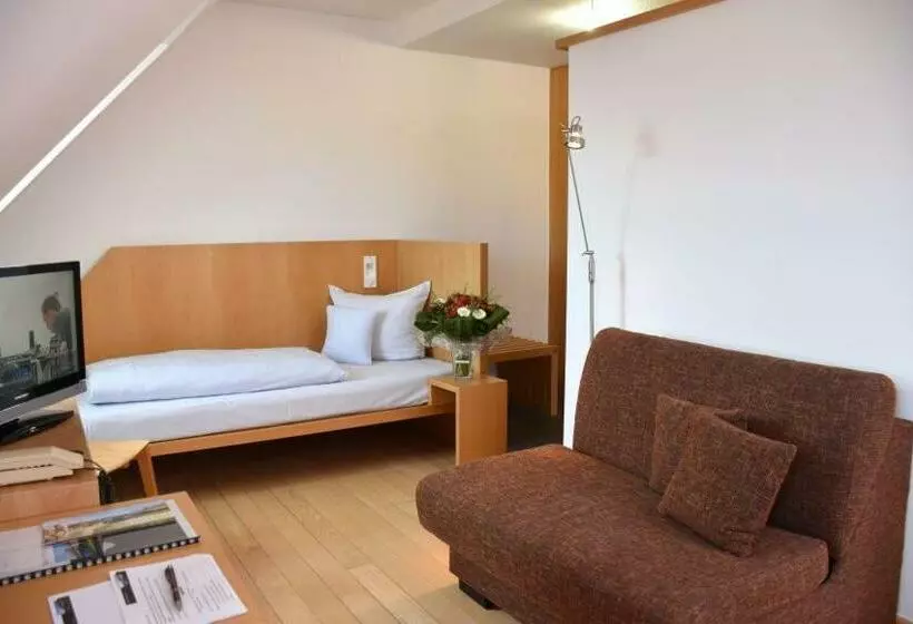 スタンダードルーム, Robert Schuman Haus