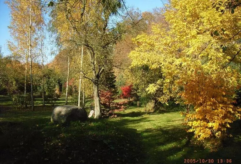 Comfort room with terrace, Ostsee Hotel Pension An Der Lindenallee