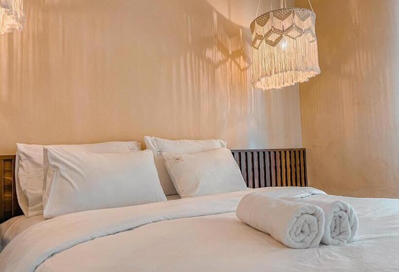 استودیوی استاندارد, Olivia