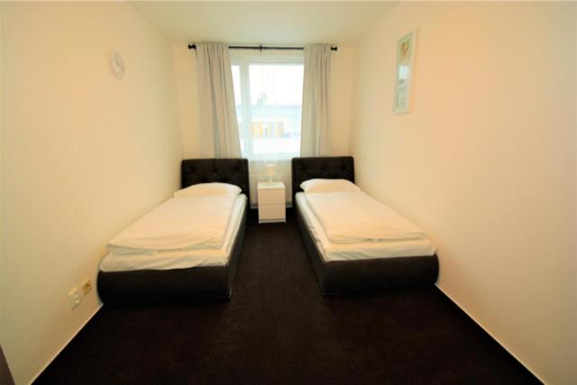 Standard-huone, Harfa