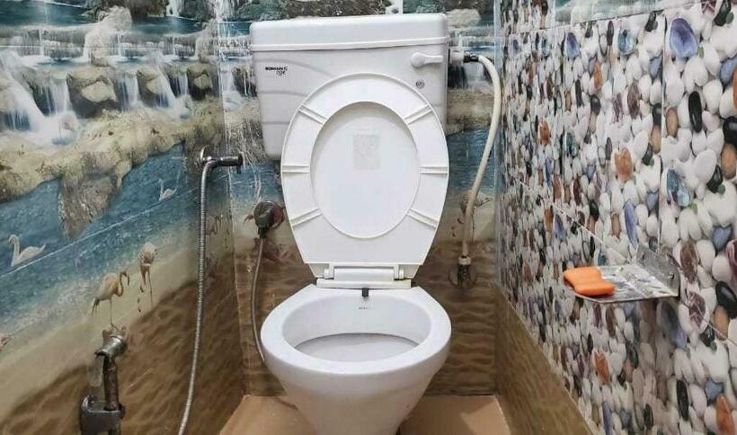 Трехместный Номер Классика, Oyo Dream Land 001