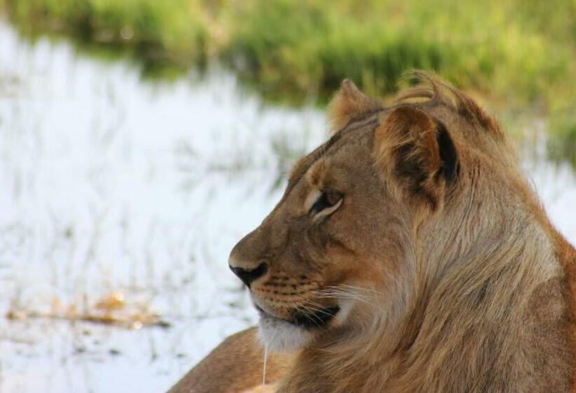 اتاق استاندارد, Gwango Heritage Resort