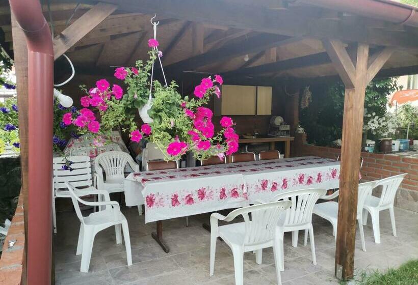 اتاق استاندارد با چشم‌انداز, Guesthouse Zimovski