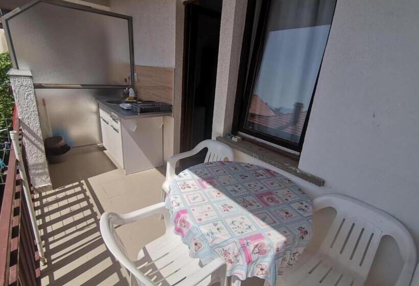 استودیوی استاندارد, Guesthouse Zimovski