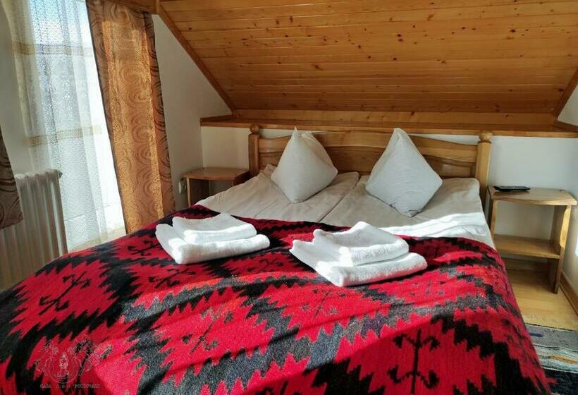 חדר סטנדרט, Pensiunea Potcovaru