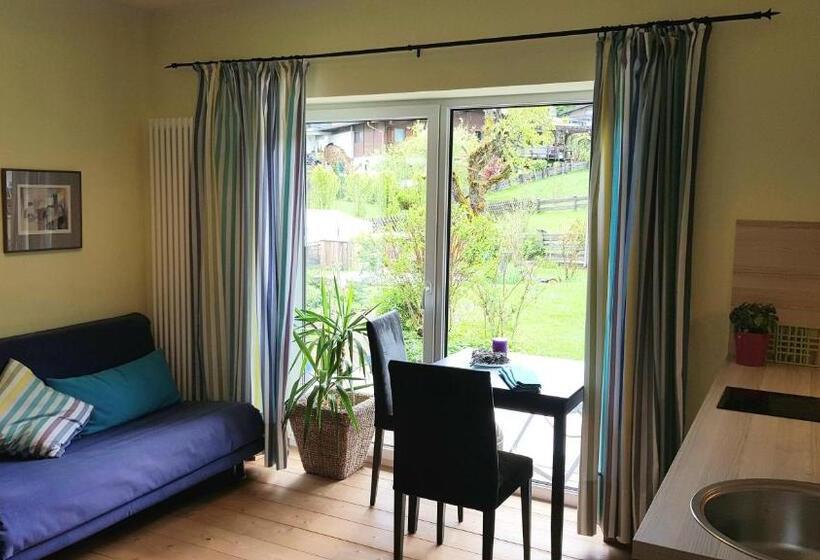 شقة غرفة واحدة مزودة بتراس, Landhaus Almdorf