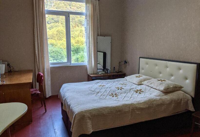اتاق استاندارد, Guest House Pirvelwodebuli