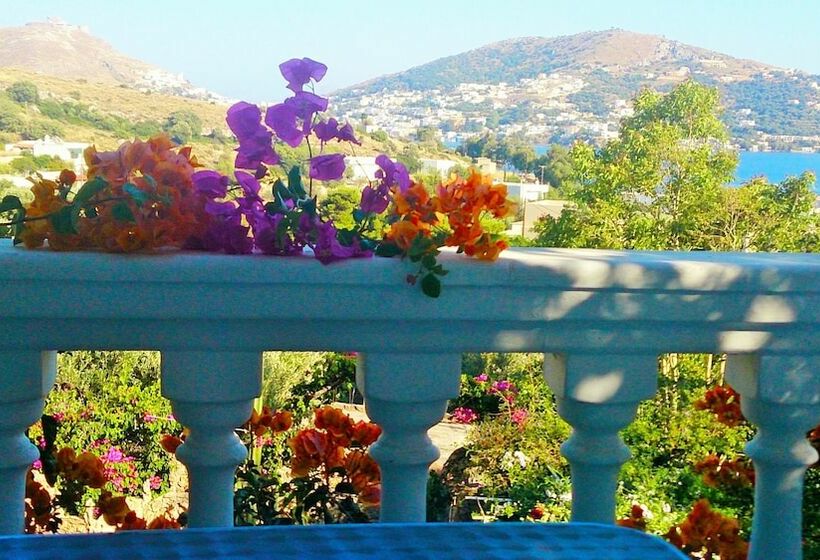 舒适型单人间, Angelika