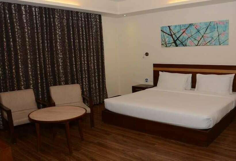 豪华单人间, Hive Panipat